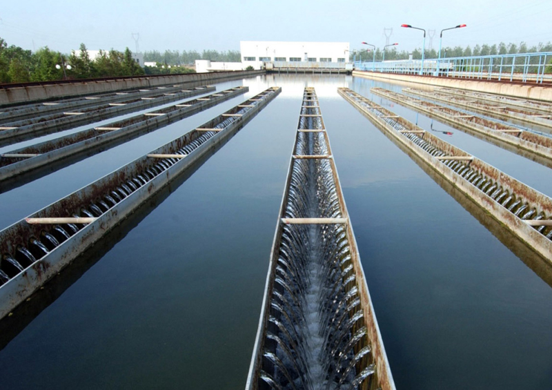 Sunpower Technology (Jiangsu) Group Co., Ltd.