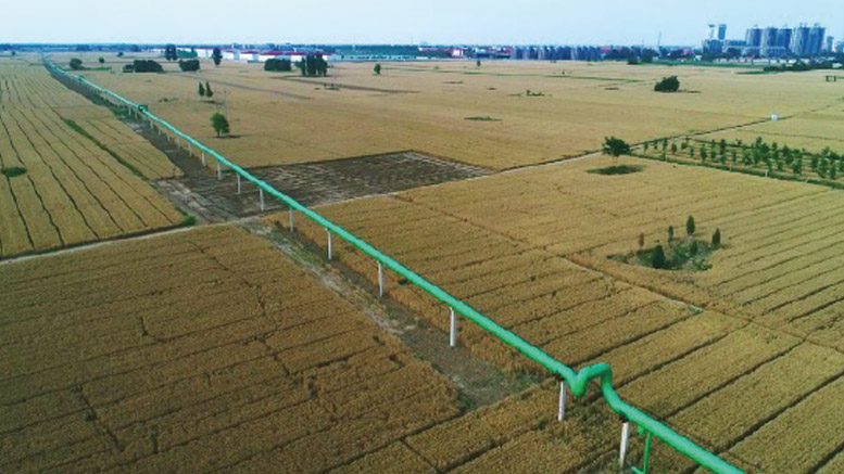 Gaoyang County Urban Residents Heating & Heat Supply Project