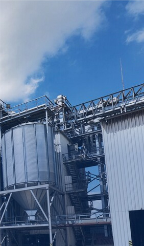 Petrochemical and Coal Chemical Industries