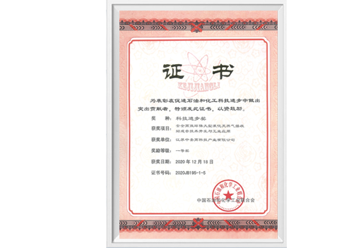 China Petrochemical Federation Science and Technology Progress First Prize